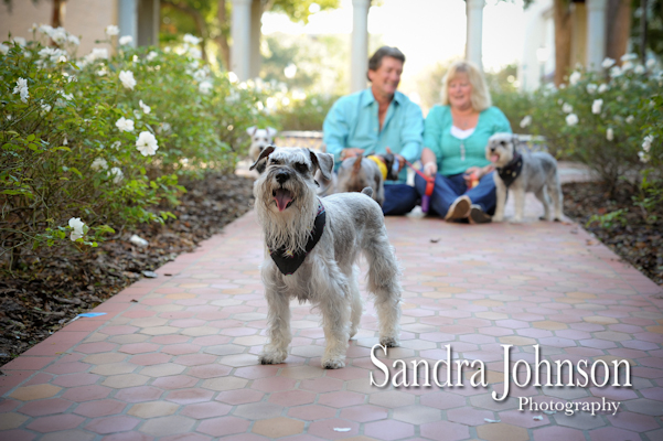 Best Orlando Pet Photographer - Sandra Johnson (SJFoto.com)